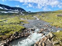 Tag 8 - Fahrt über die Hardangervidda.jpg