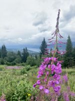 Tag 3 - Aussicht auf den Mjøsa-See