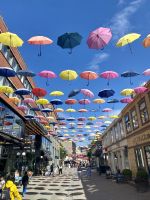 Tag 5 - Fußgängerzone in Trondheim 