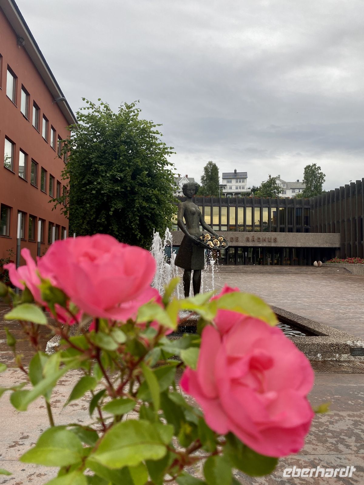 Tag 6 - Rosen in Molde 