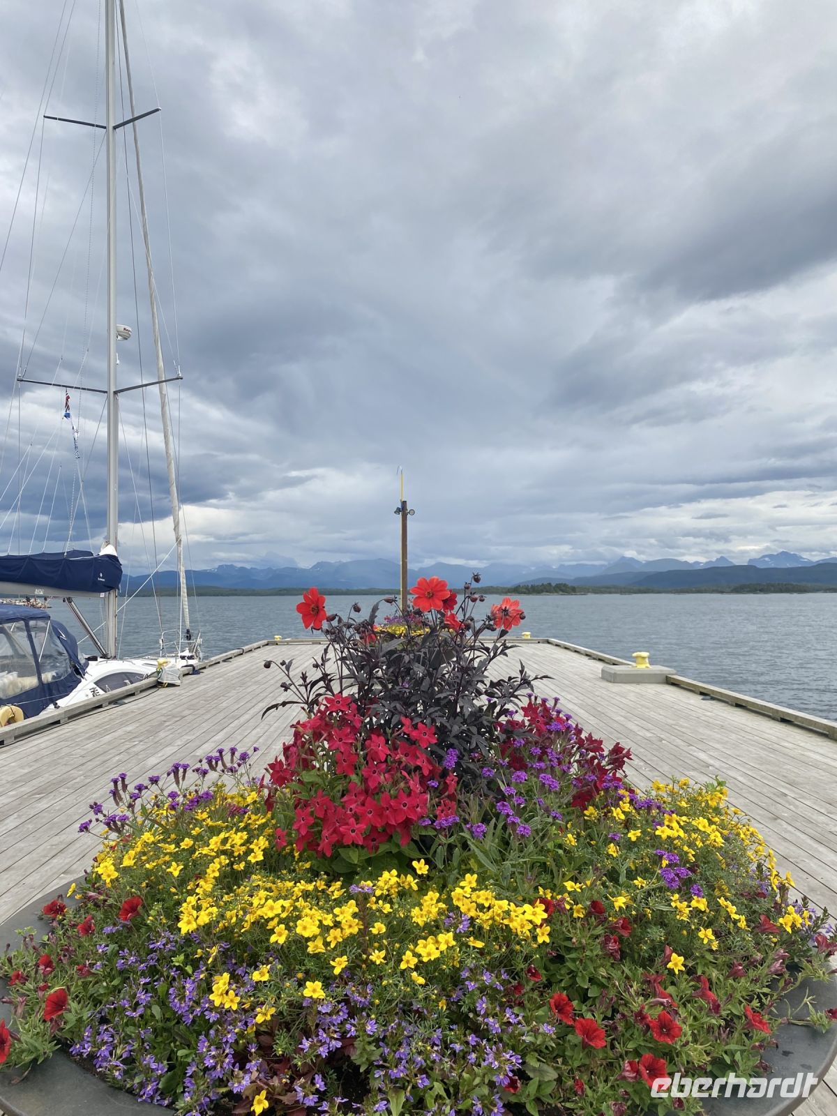 Tag 6 - Molde blüht 