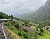 Tag 8 - Fahrt mit der Flåmsbana