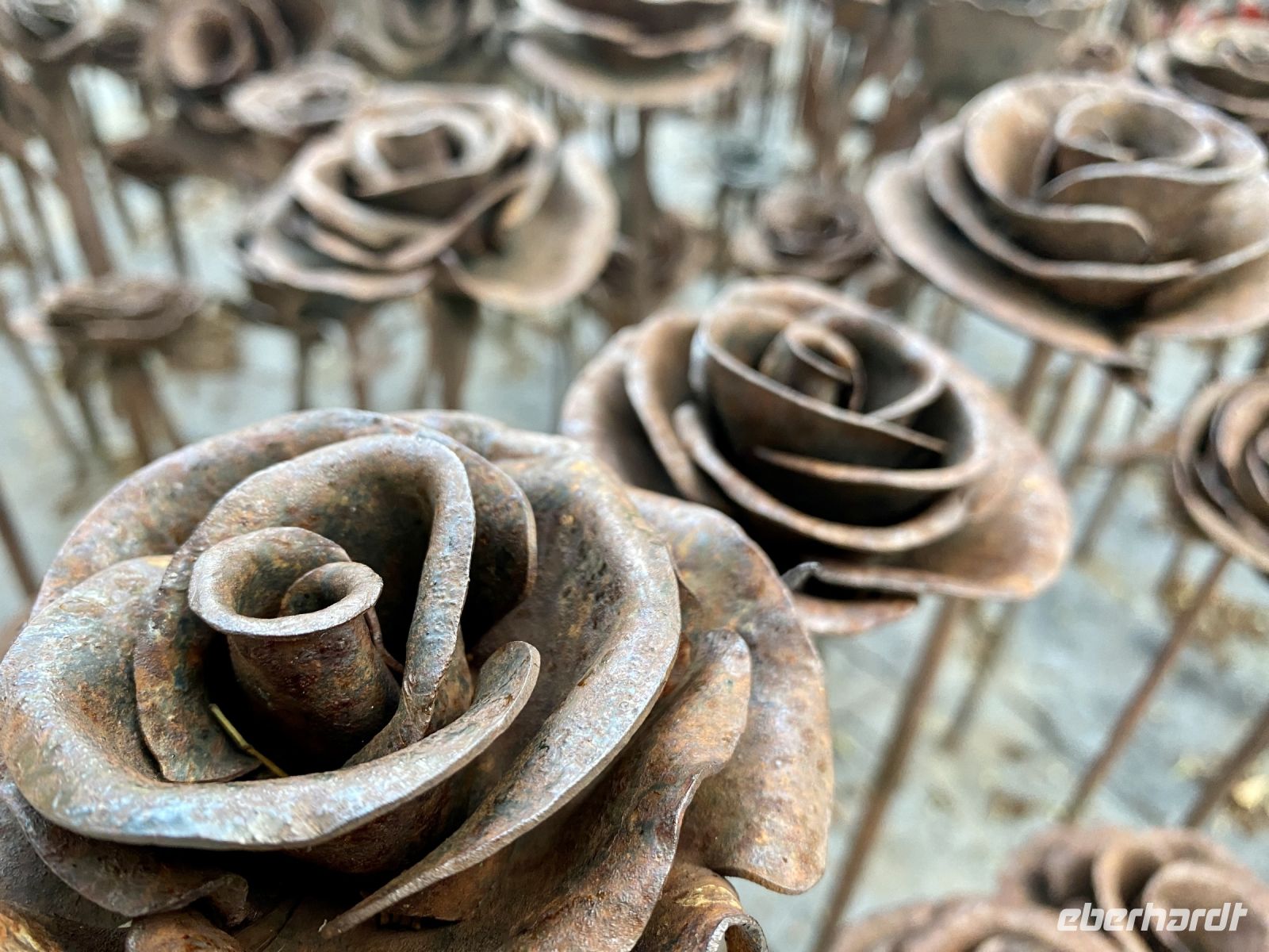 Tag 9 - Impressionen 