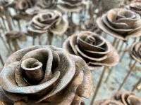 Tag 9 - Impressionen 