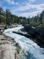 Tag 3 - Reinheimen Nationalpark