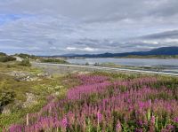 Tag 6 - Atlantikstraße