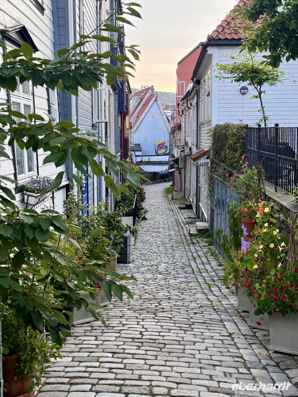 Tag 7 - Abendlicher Spaziergang durch Bergen