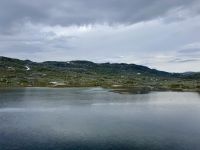 Tag 8 - Fahrt mit der Bergenbahn