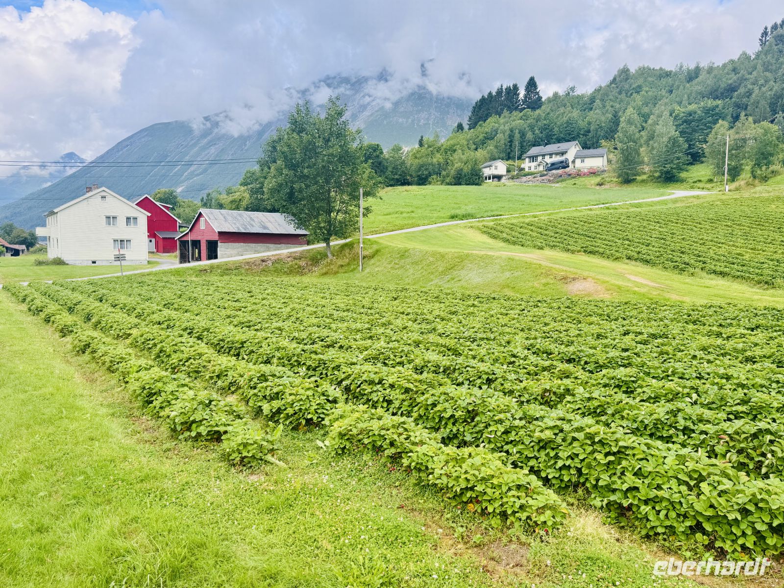 Tag 4 - Durch das Valldal