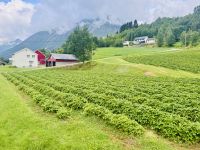 Tag 4 - Durch das Valldal