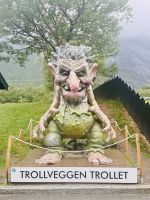 Tag 4 - Troll