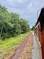 Tag 5 - Fahrt mit der Thamshavnbahn