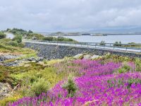 Tag 6 - Atlantikstraße