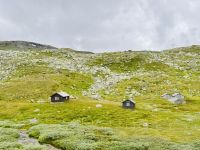 Tag 8 - Fahrt mit der Bergenbahn über die Hardangervidda 