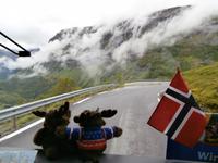 Fahrt hinunter nach Geiranger