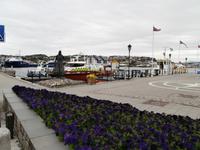 Klippfischfrau in Kristiansund