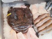 Monkfisch Fischmarkt Bergen
