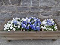 Bahnhof Myrdal mit Blumen