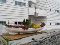 Molde Stadt der Rosen