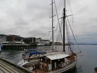 Molde Stadt der Rosen