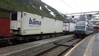 Bahnhof Myrdal (Ankunft der Bergenbahn)