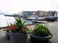 Molde