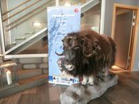 Skifer Hotel Oppdal
