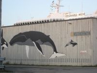  in Vardø