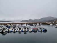 Ørnes