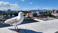 002 Oslo, Blick von der Oper