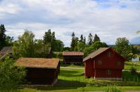 008 Hamar