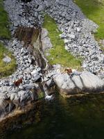 031_Lysefjord