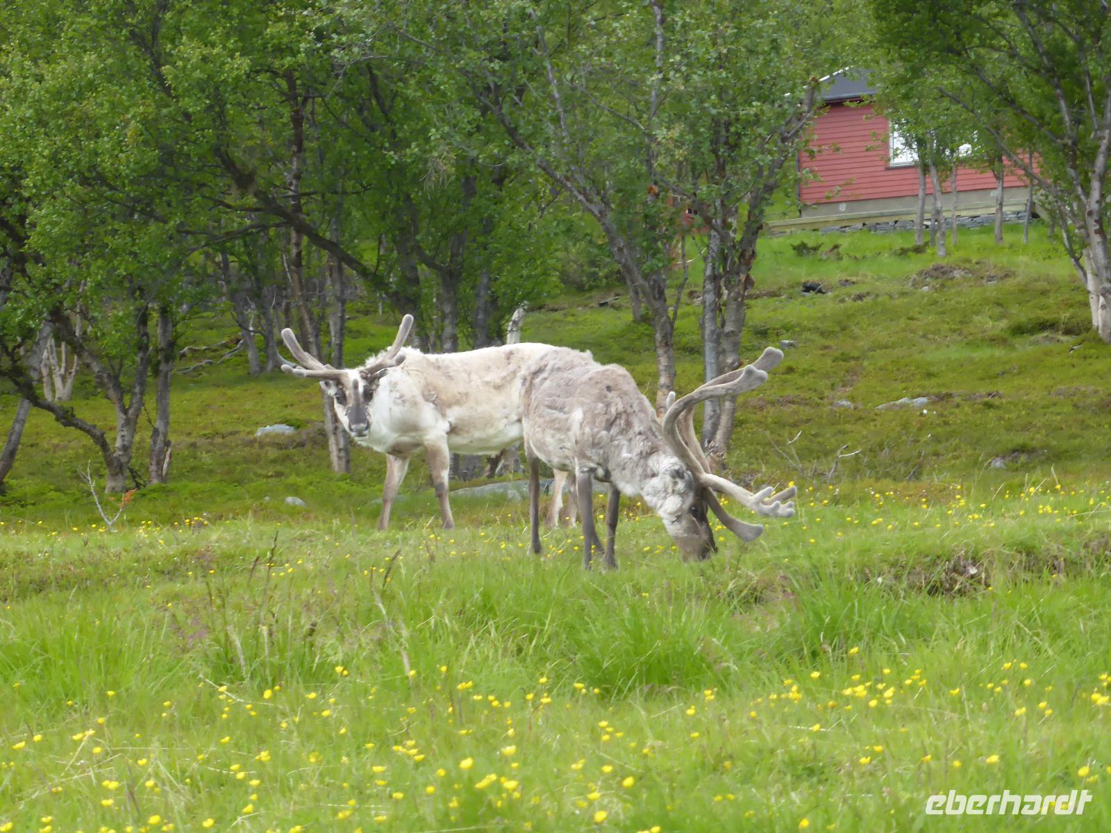 038-Porsangenfjord