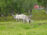 038-Porsangenfjord
