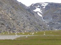 042-Porsangen-Fjord