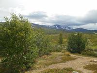 Fahrt über das Dovrefjell