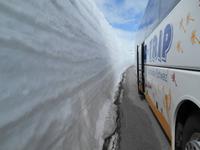 Aurlandsvegen (Snøvegen)