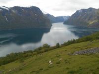 Blick auf den Aurlandsfjord