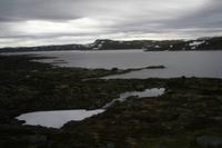 Hardangervidda