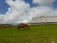 086-Borg-Wikingermuseum