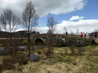 123-Dovrefjell-Koenigsweg