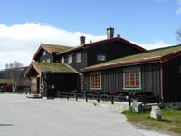 124-Dovrefjell-Dovregubbens