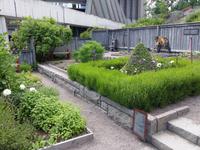 13.06.15: Stockholm, Gärten im Umfeld der Seemannschaft älterer Zeit