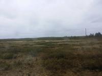 16.06.15: Fahrt durch die Tundra