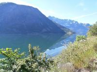 Lustrafjord Norwegen