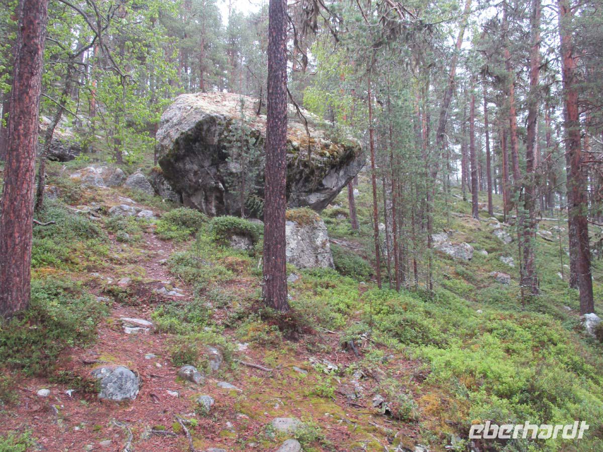 Findlinge bei der Bärenhöhle