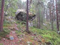 Findlinge bei der Bärenhöhle