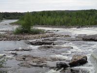 Stromschnellen des Umeälven