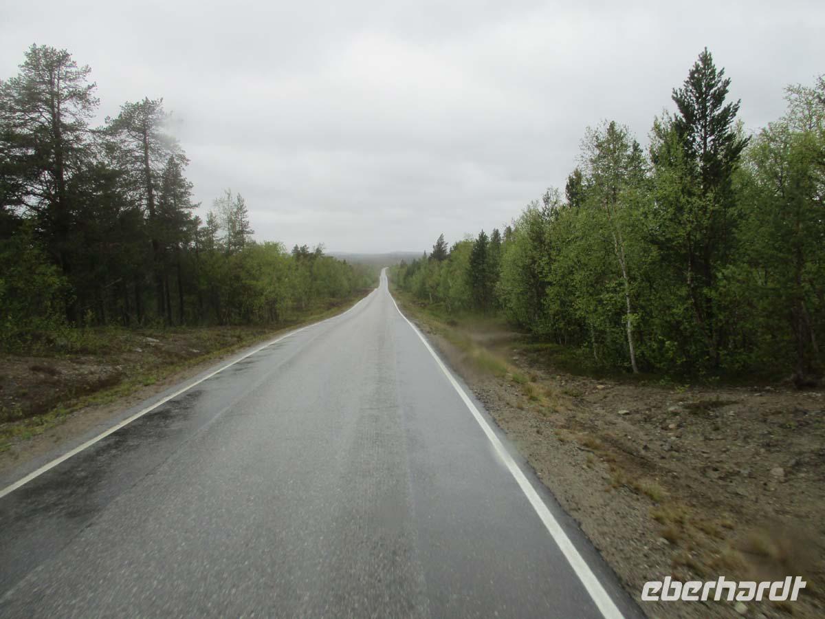 Endlose Wälder in Finnland