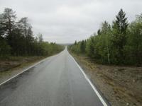 Endlose Wälder in Finnland